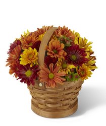 Woodland Wonder Basket<b> from Flowers All Over.com